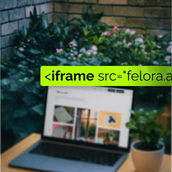 Website Embed